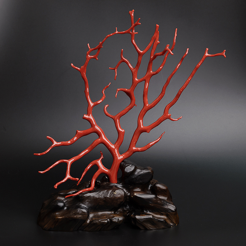 红珊瑚价格：红珊瑚树枝摆件价格多少钱？ -红掌柜珠宝